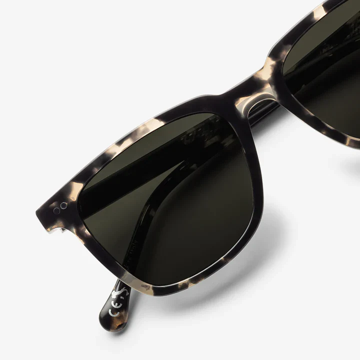 Electric Birch Galaxy / Grey Polarized - Image 4